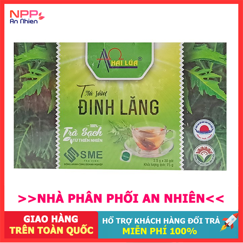 Hộp 30 gói sâm đinh lăng túi lọc hai lúa 75g - npp an nhiên