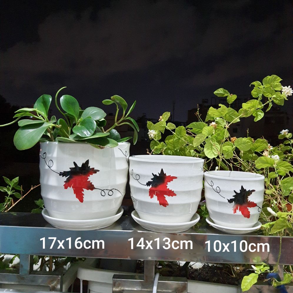 bộ 3 chậu sứ trồng cây kèm dĩa lót - 17x16cm, 14x13cm, 10x10cm