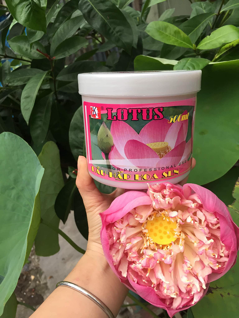 Hấp dầu hoa Sen 500ml