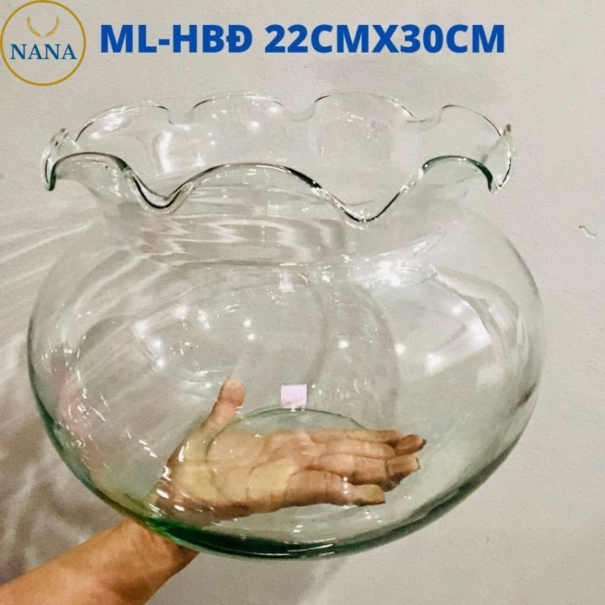 Bể thủy tinh khổng lồ nuôi cá bảy màu size đại SG-HBĐ