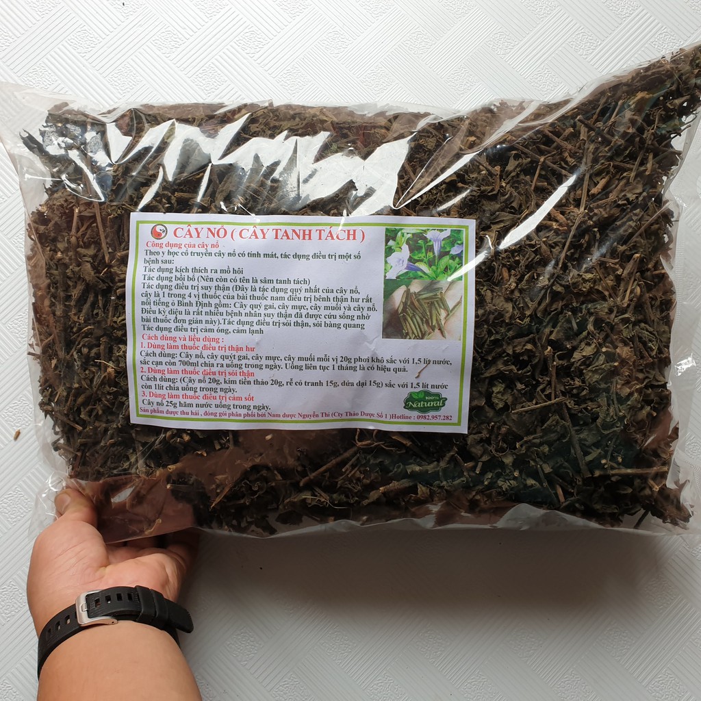 Cây nổ - sâm tanh tách khô