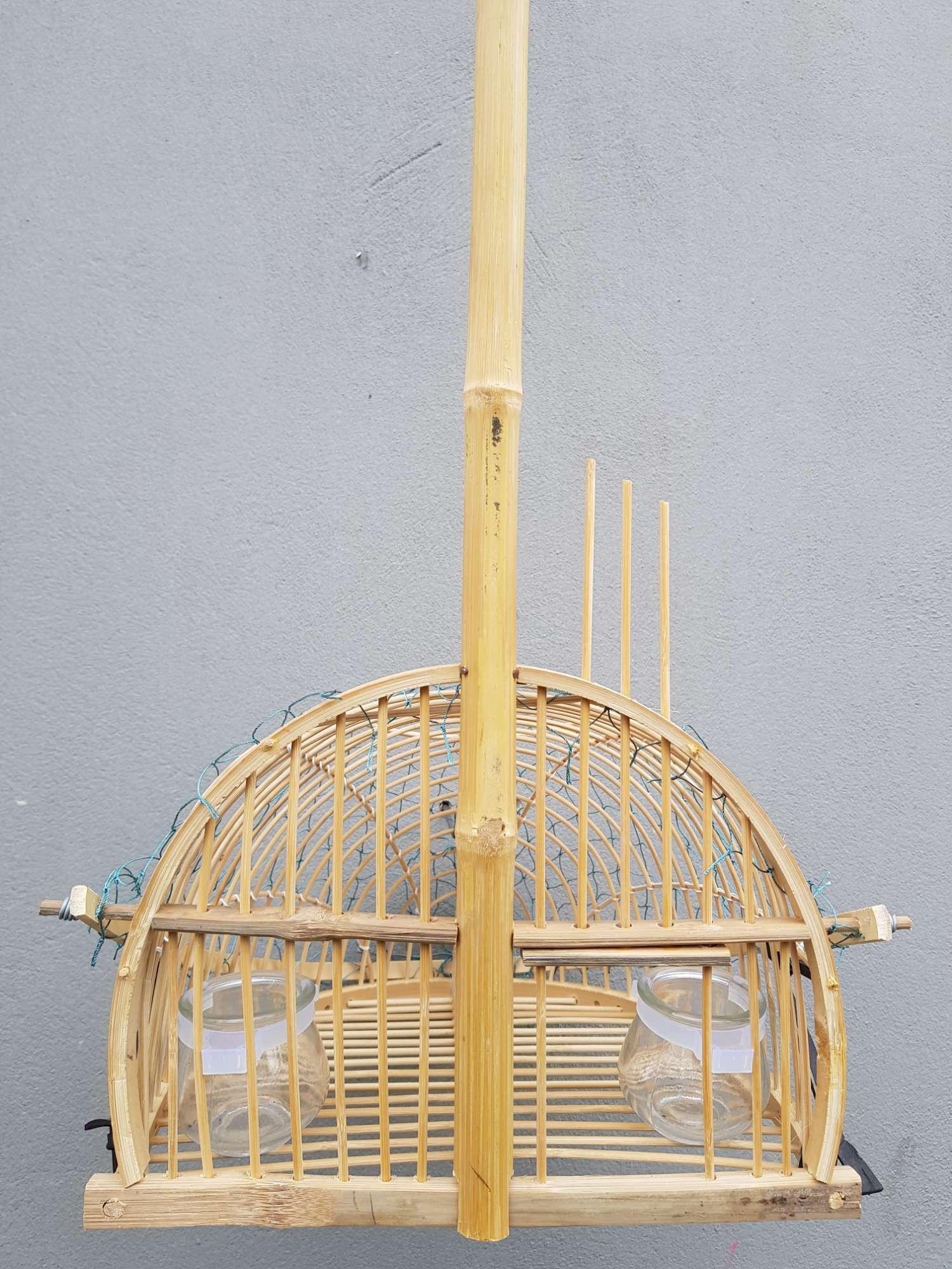 Lồng bẫy chim chào mào mi khướu