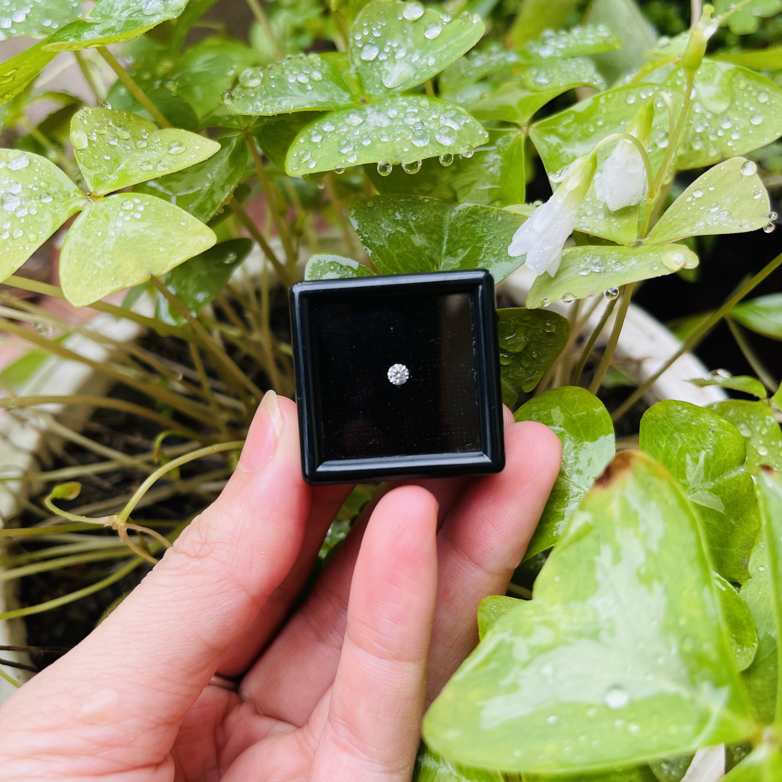 Kim Cương Nhân Tạo Đá Đính Răng Cao Cấp ( Size 2.7# Bằng )