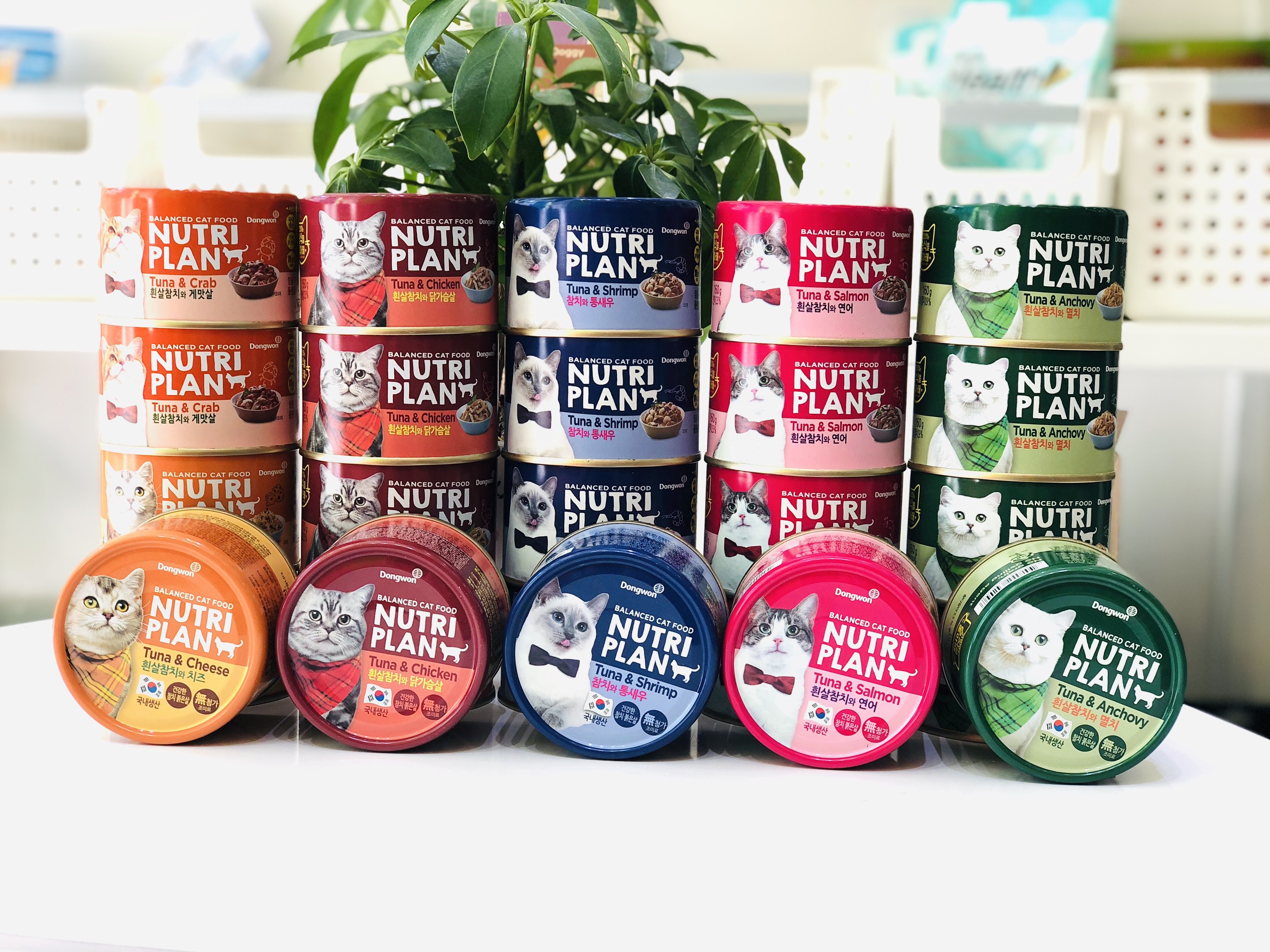Pate Nutri Plan dành cho mèo 160g