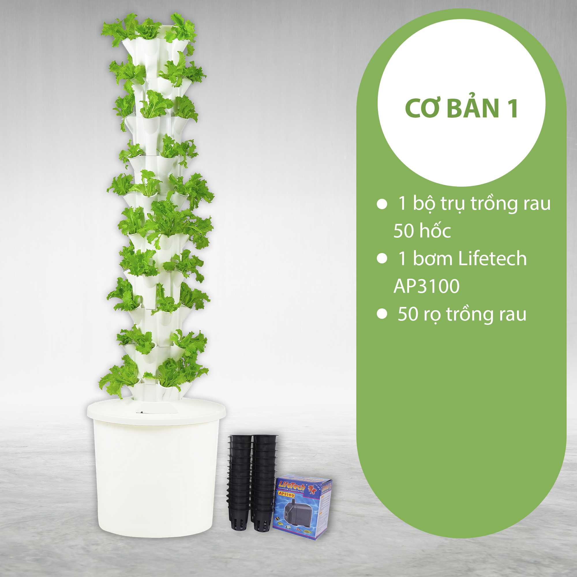 [HCM]Giàn Trồng Rau Thủy Canh - chậu trồng rau thuỷ canh 50 hốc trồng rau giữ nước và chống cúp điện phiên bản mới