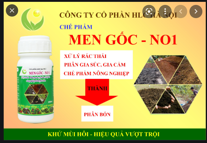 Chế phẩm men gốc no1