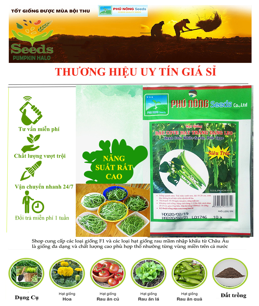 Hạt giống đậu : cove trắng leo siêu trái _gói 10gram .