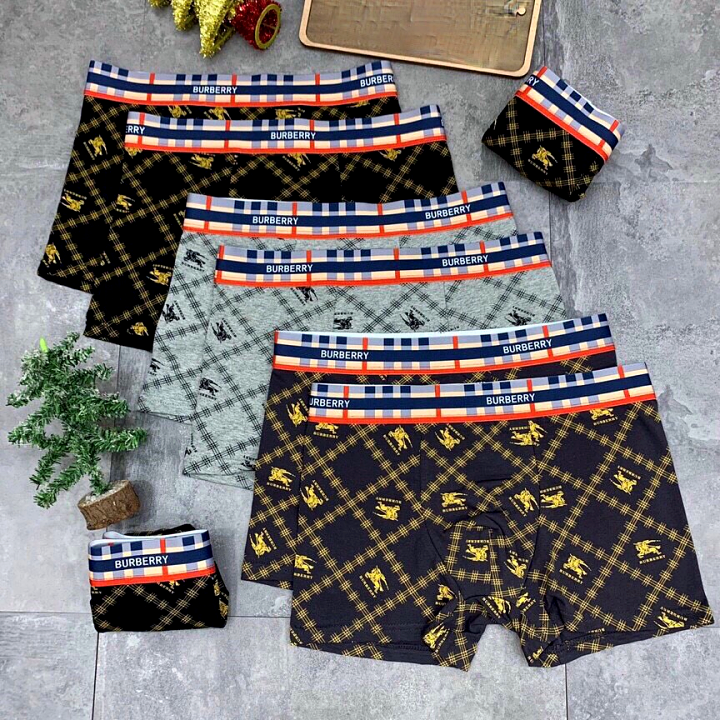 Quần sịp đùi nam-chất vải cotton co giãn cạp quần cao-có 3 màu đen xanh than ghi xám-sna6790