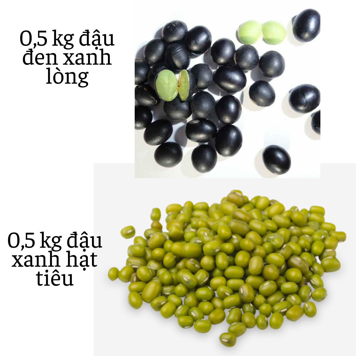 500g Đậu đen xanh lòng và 500gr đậu xanh hạt tiêu dùng nấu chè, hầm, nấu canh làm giá đỗ - Vikita Mark