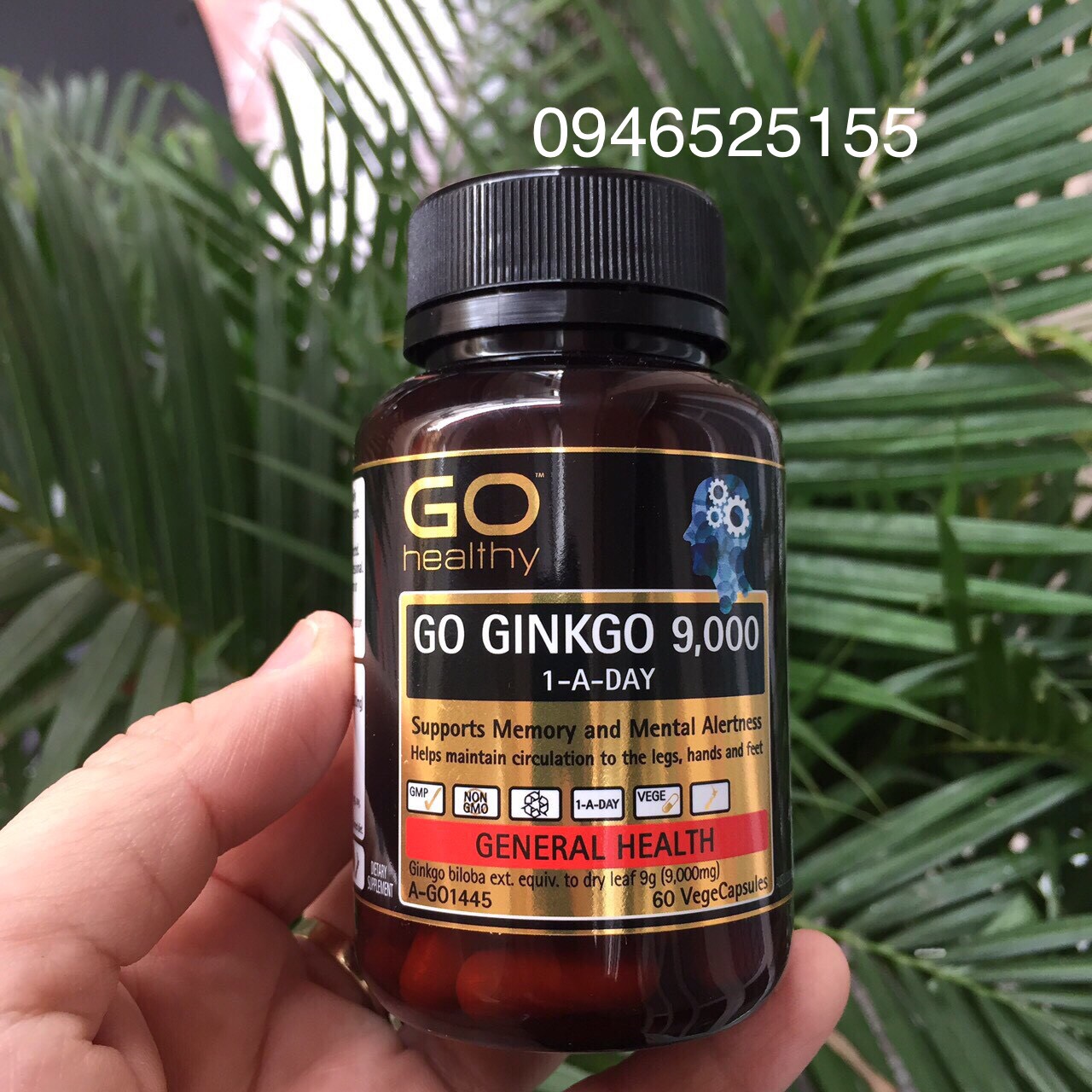 Bổ não Go Healthy Ginkgo 9000