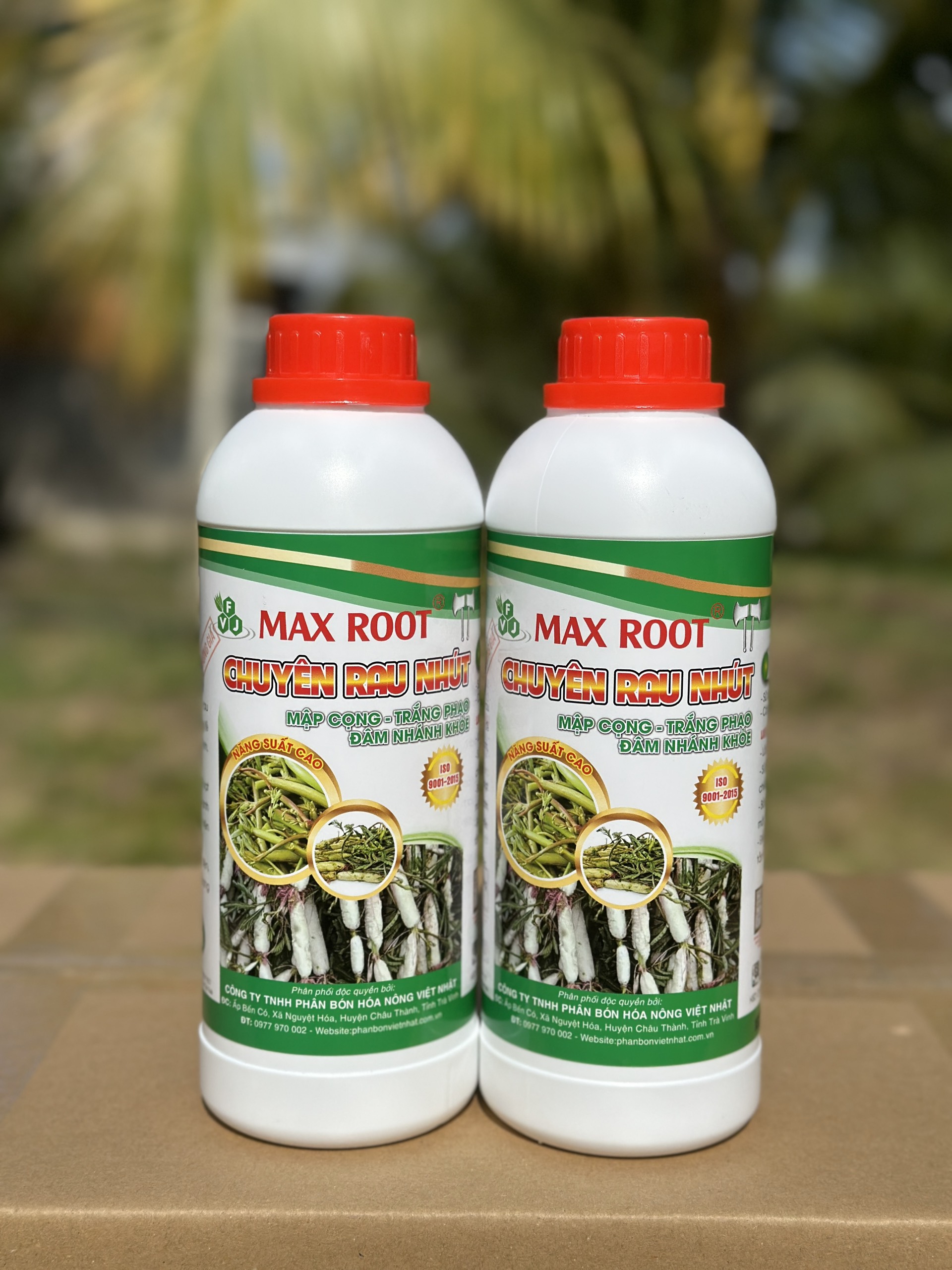 Phân bón cho rau nhút Max root chai 1 lít giúp trắng phau-mập cộng-nặng ký