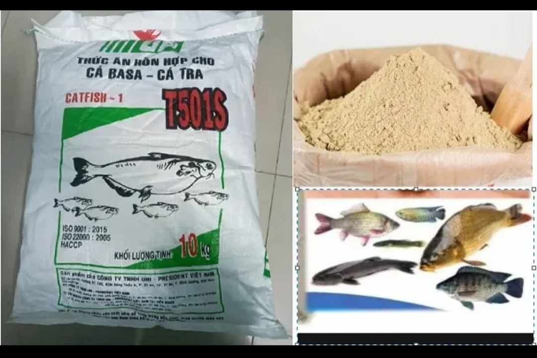 Cám cốt vàng t501s đóng gói 500gr. đến 1kg