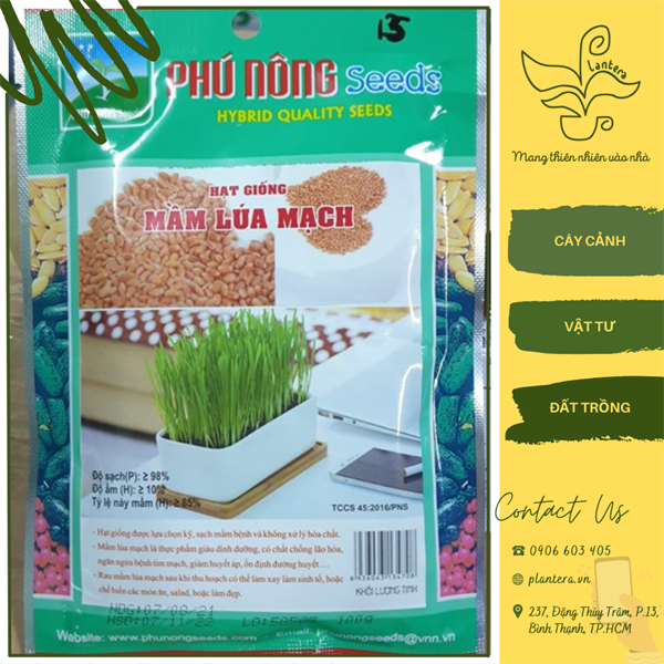 Hạt giống phú nông - mầm lúa mạch gói 100g - hạt giống - rau mầm
