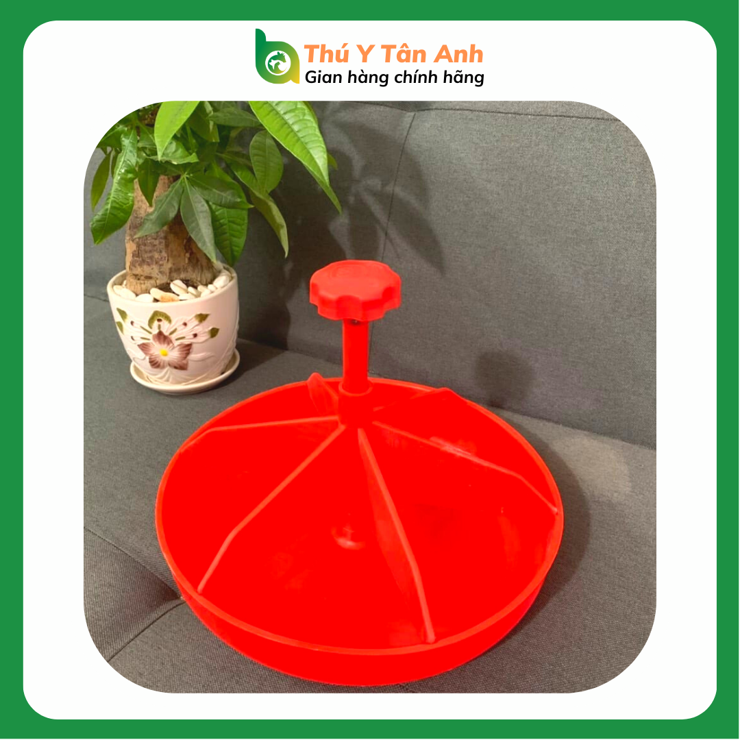 Máng tập ăn heo con bằng nhựa cài sàn giá rẻ hàng nội địa cao cấp