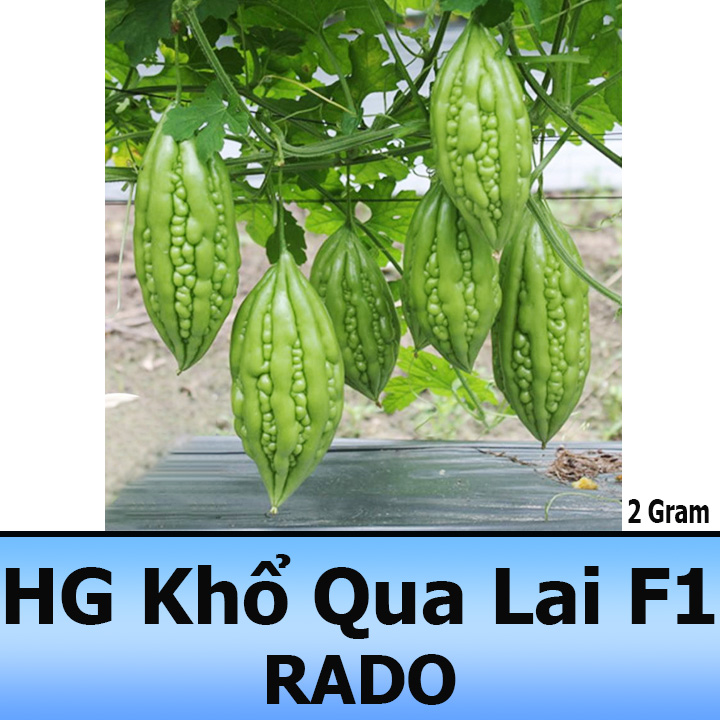 Hạt Giống Khổ Qua Xanh Cao Sản 2G Siêu Trái, Thanh Nhiệt