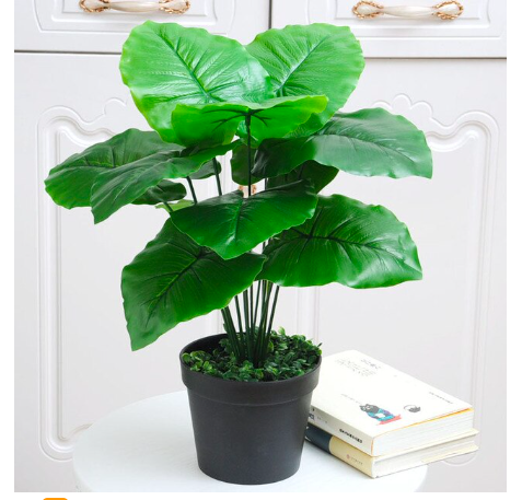 Cây giả - cây lá rùa phong thủy trang trí 12 lá cao 60cm