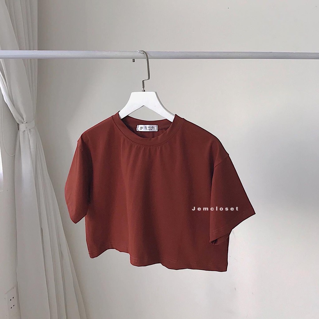 Áo croptop trơn abi - 10084