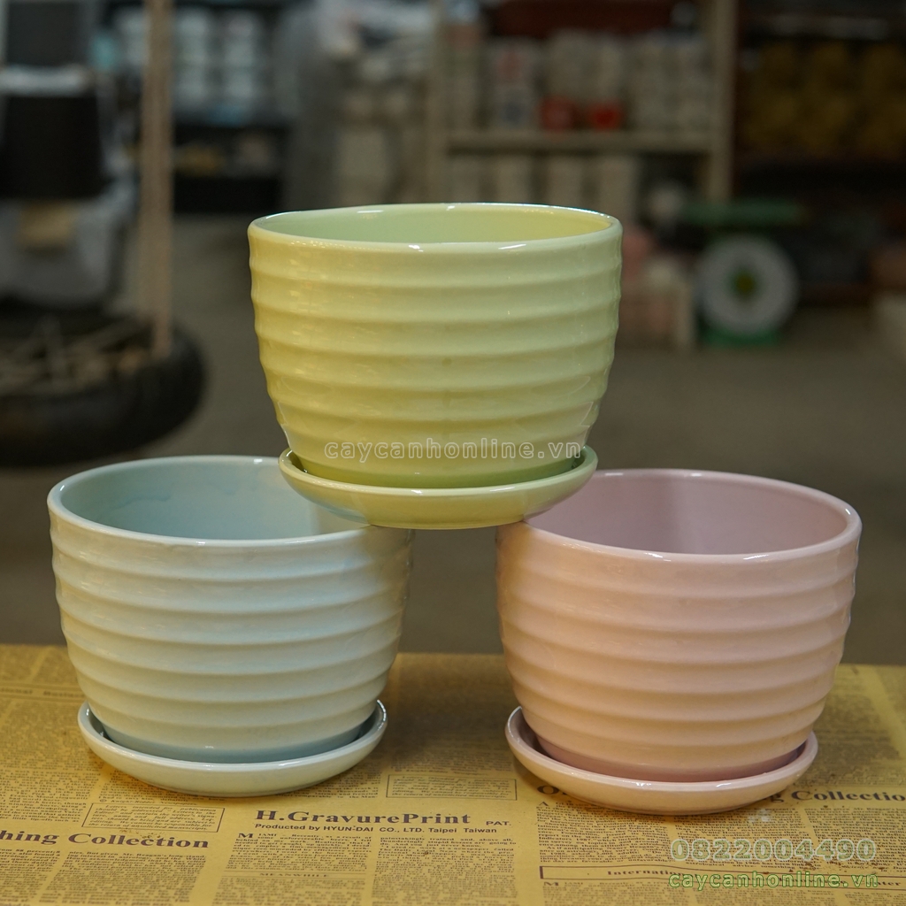 Chậu gốm sứ gồm cả đĩa các màu trồng cây cảnh đẹp