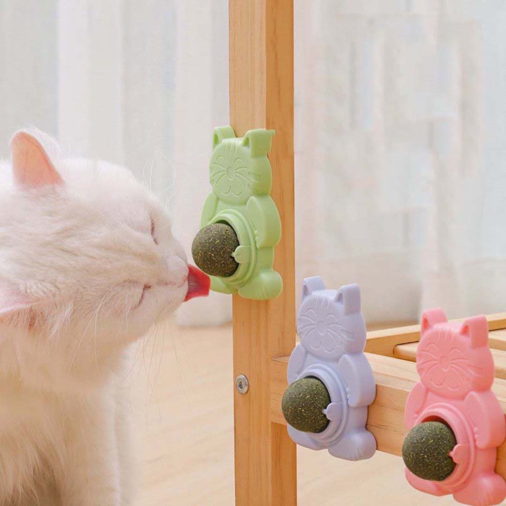 Catnip gắn tường, cỏ mèo dán tường, cỏ bạc hà mèo, viên catnip xoay tròn cho mèo