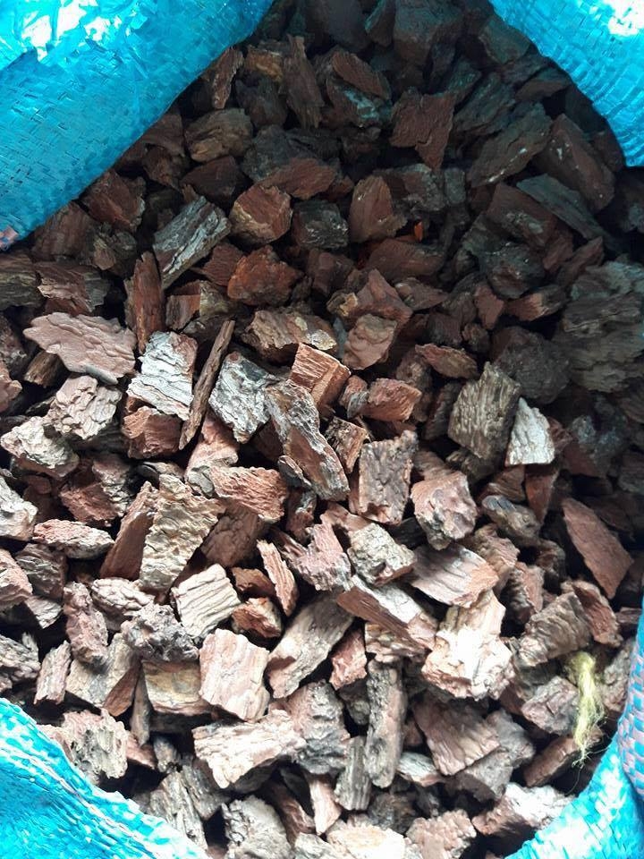 1kg vỏ thông băm trồng lan