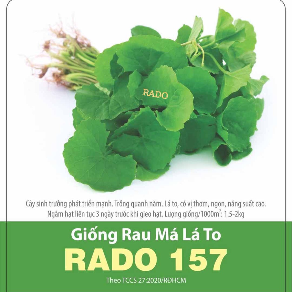 Hạt giống rau má lá lớn rado 157 rạng đông | vtnn cần thơ