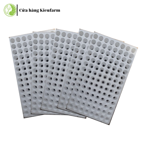 Combo 5 khay xốp ươm gieo hạt _Kieufarm