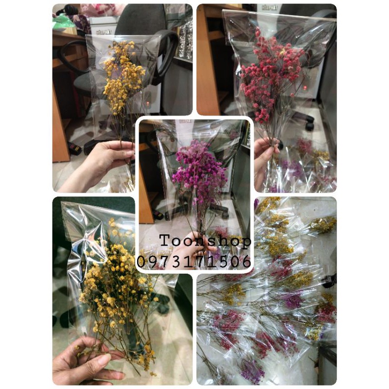 Baby khô các màu decor, làm thiệp, trang trí cực đẹp