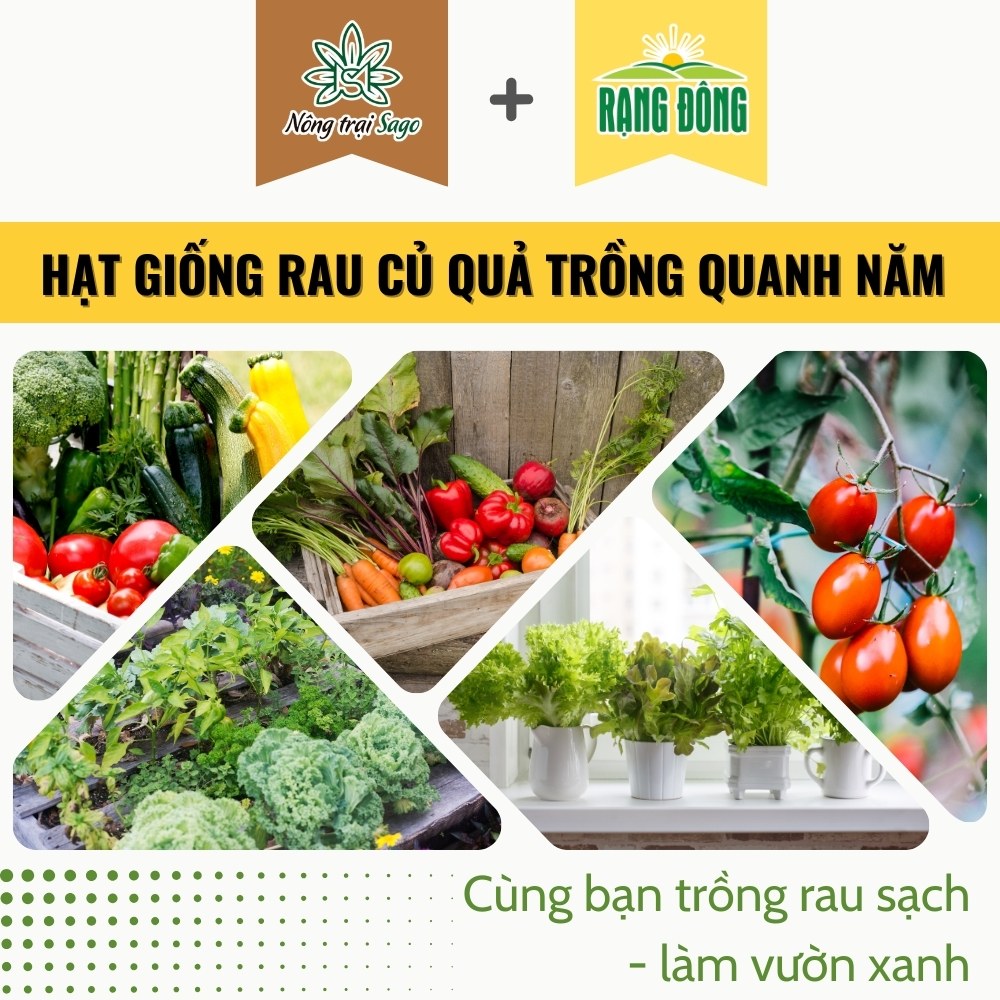 Hạt giống Rau Củ Quả trồng chậu, rau ăn lá, dây leo trồng quanh năm, nảy mầm tốt hiệu Hạt giống Rạng Đông - Nông Trại Sago