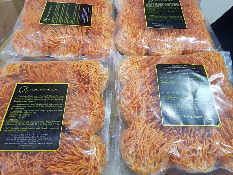 Đông Trùng Hạ Thảo Tươi Nguyên Đế 1 Kg - Chỉ Cần Một Sản Phẩm Đã làm Thay Đổi Sức Khỏe Bạn - Quà Chăm Sóc Người Bệnh Hiệu Quả