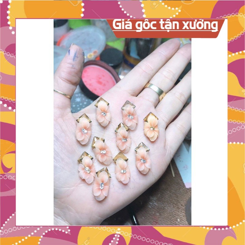 Hoa bột nail hoa bột giá sỉ