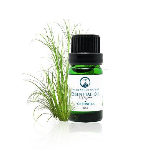 Tinh dầu sả Java Citronella Nguyên Chất