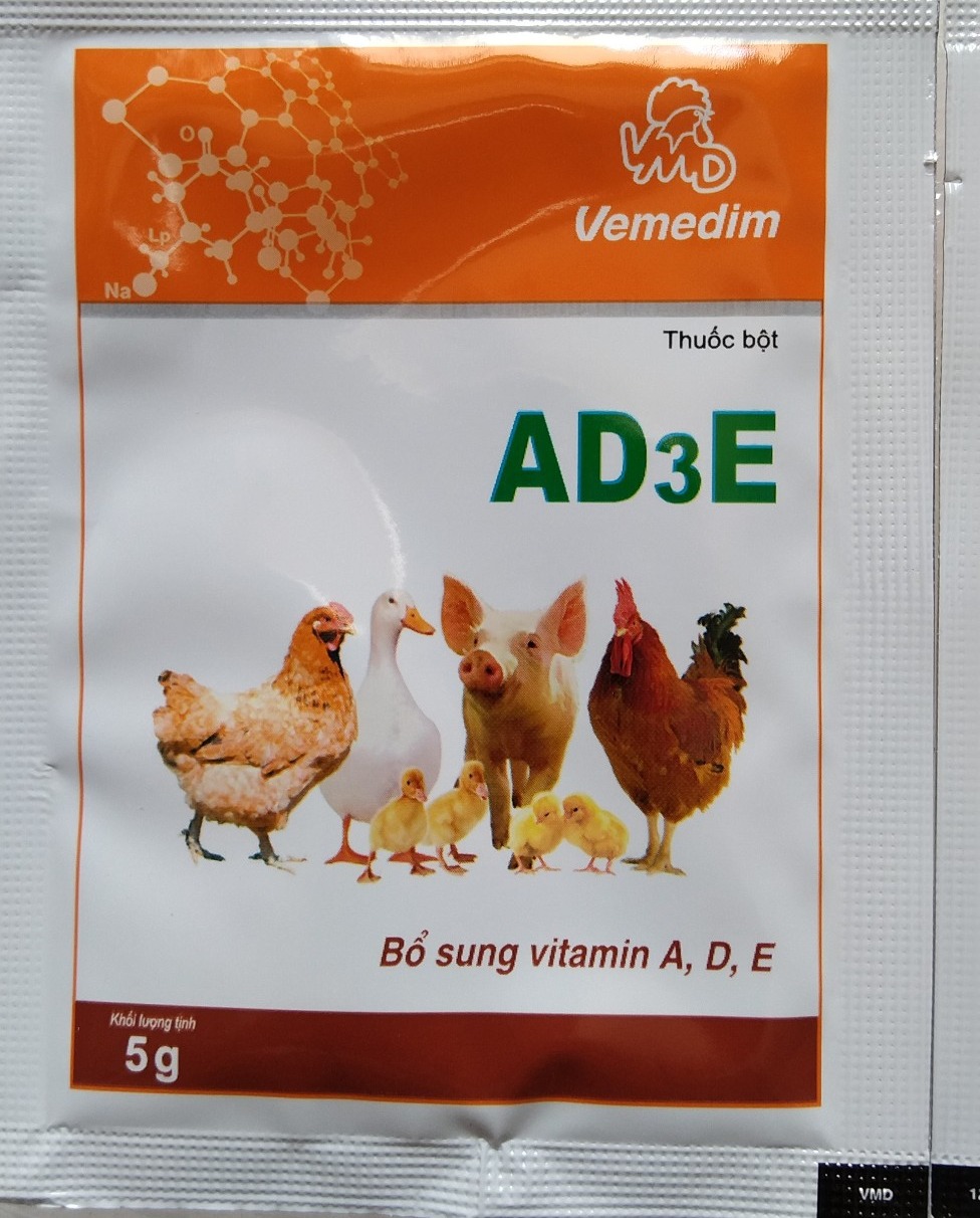 1 gói Vitamin tổng hợp AD3E (5Gram) bổ sung Vitamin cho chim,vẹt, yến phụng, gà,vịt, heo