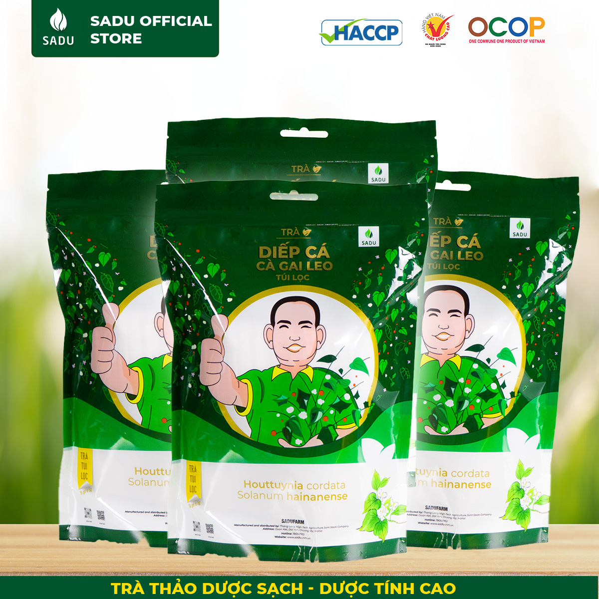 Trà túi lọc diếp cá cà gai leo Sadu gói 1kg + QUÀ