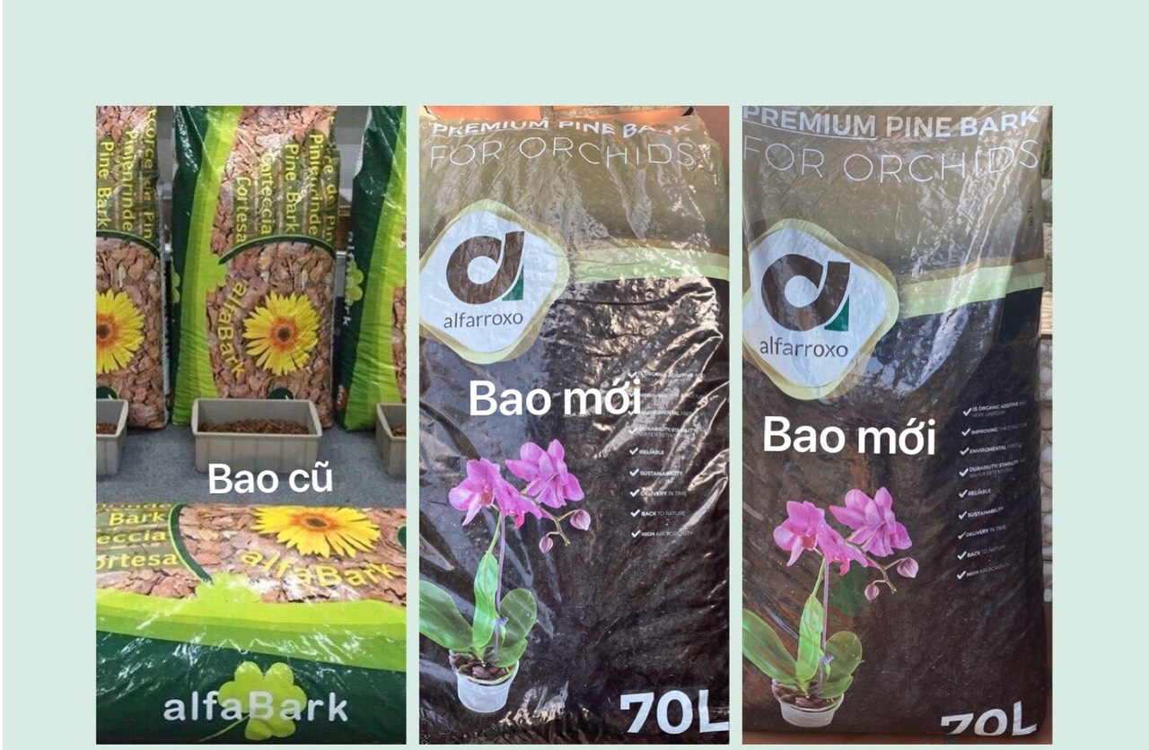 Vỏ thông Alfabark nhập khẩu Bồ Đào Nha chuyên dùng cho hoa lan