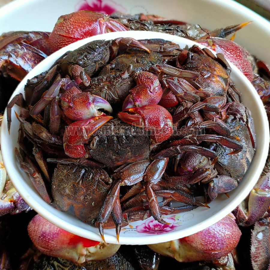 500gr Ba Khía Muối Châu Đốc Loại Nguyên Con Chưa Trộn Thịt Nhiều