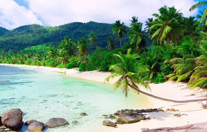 Bộ tranh đính đá 5d tự làm hình phong cảnh biển độc đáo