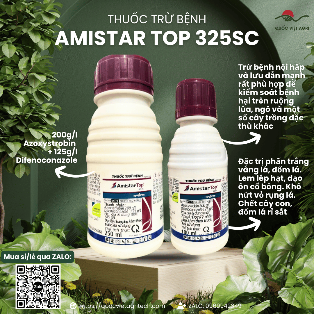 Thuốc trừ bệnh AMISTAR TOP 325SC (100ml - 250ml) - Chính hãng Syngenta