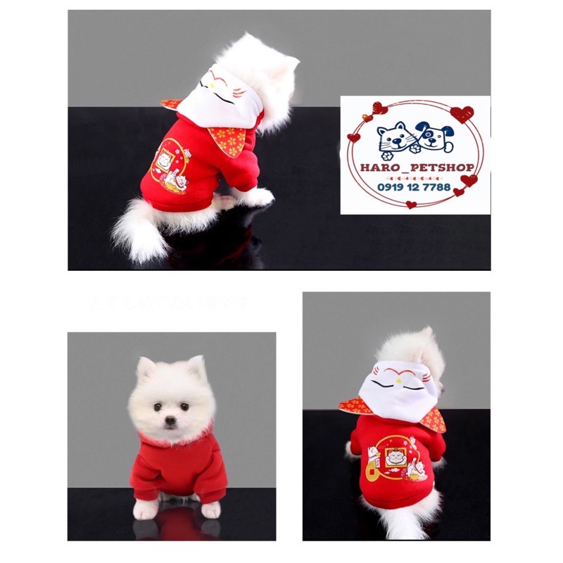 Áo tết chó mèo 🧧freeship🧧 hoạ tiết mèo thần tài