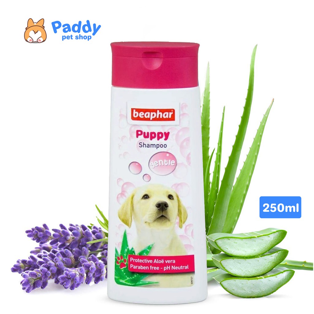 Sữa Tắm Dành Cho Chó Con Beaphar Puppy