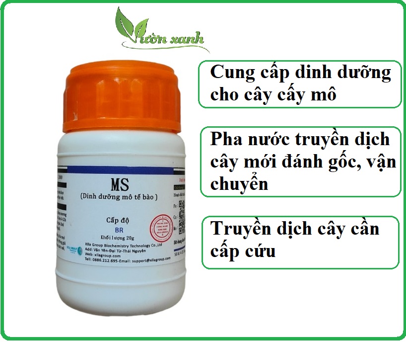 Cập nhật hơn 67 về mô hình tế bào bằng đất sét mới nhất  Tin học Đông Hòa