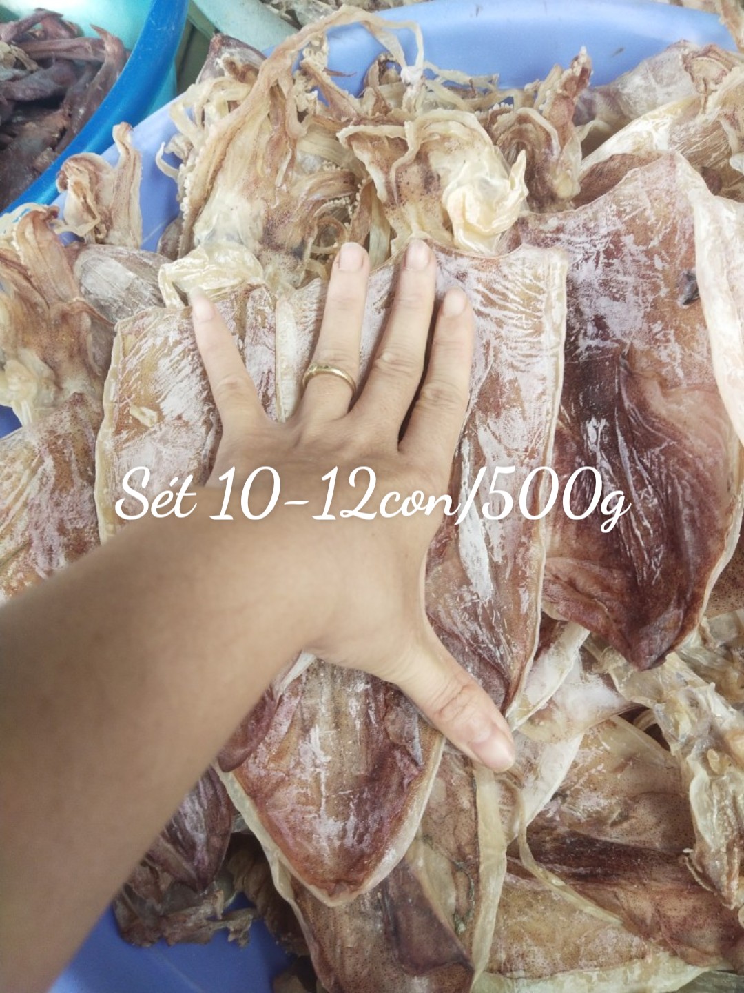1kg mực khô câu 20-22con -hs01-ghpy
