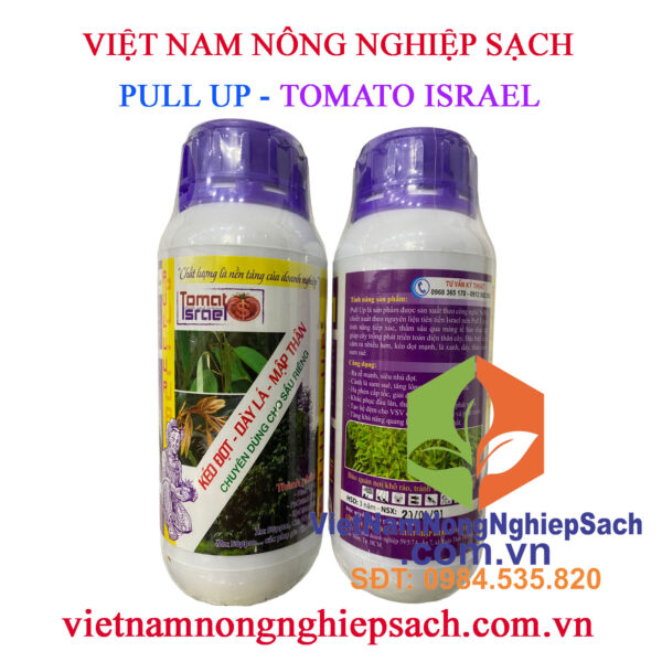 Pull up – cty tomato israel kéo đọt, dày lá, mập thân chai 500ml