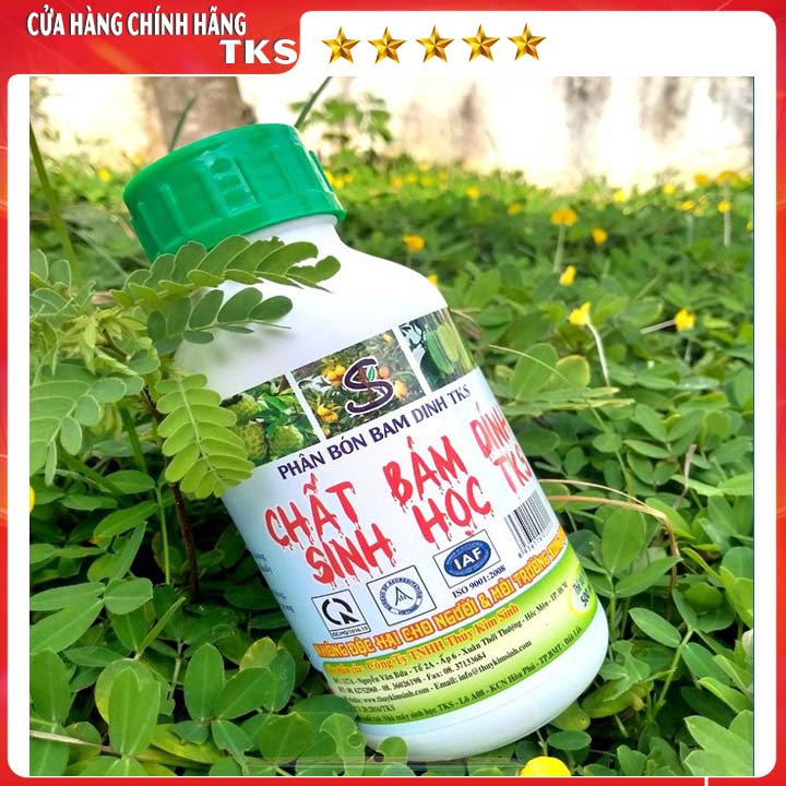 [CHAI 500ml] BÁM DÍNH SINH HỌC TKS Tăng Khả Năng Bấm Dính, Tăng Hiệu Lực Trừ Sâu Bệnh