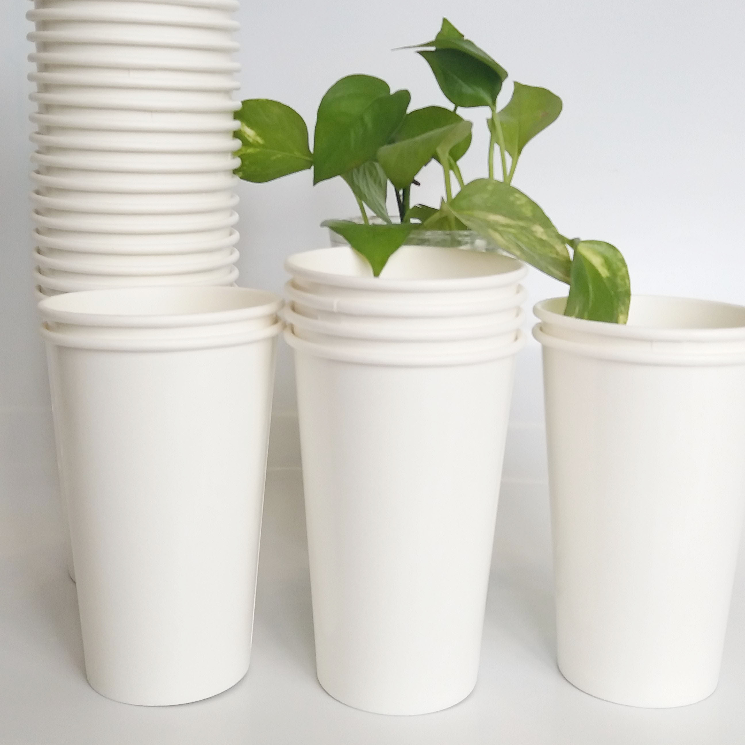 Ly giấy 14oz~420ml - lốc 50 ly giấy trơn