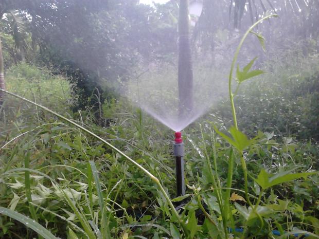 10 cái Béc vít màu đỏ