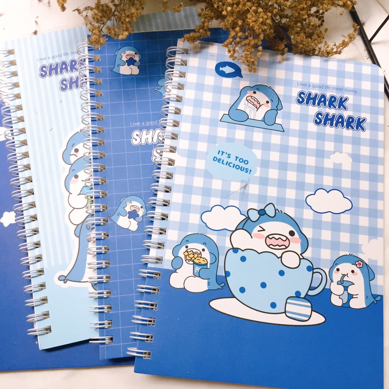 Sổ tay lò so cute A5 120trang - kẻ ngang - giấy trơn mịn