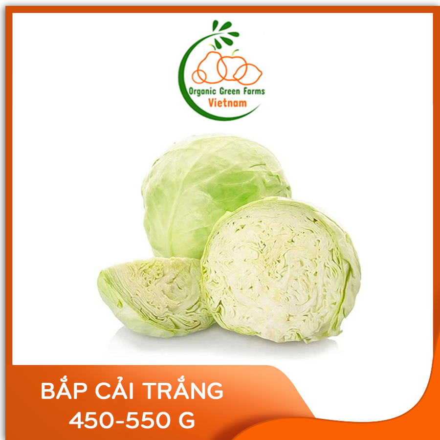 [OGF] - Bắp cải trắng (450-550g) - [Giao nhanh TPHCM]
