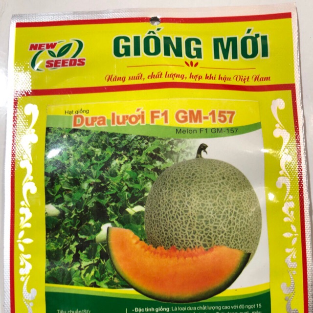 HẠT GIỐNG DƯA LƯỚI F1GM-157