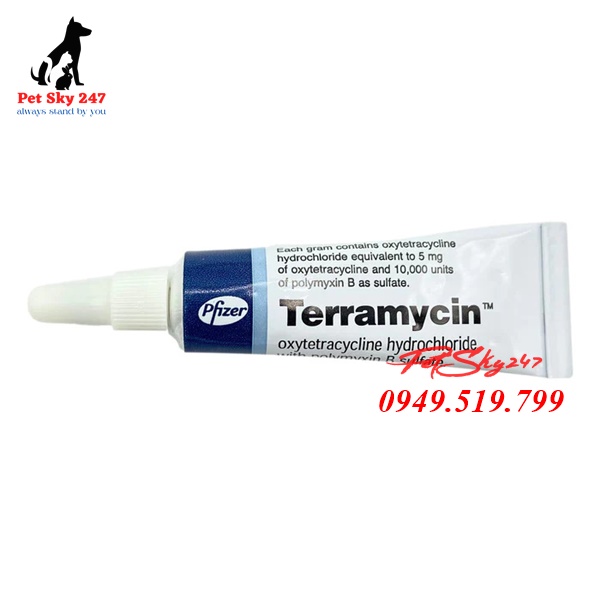 Thuốc Terramycin Trị Nhễm Trùng Mắt Cho Chó Mèo 3,5g