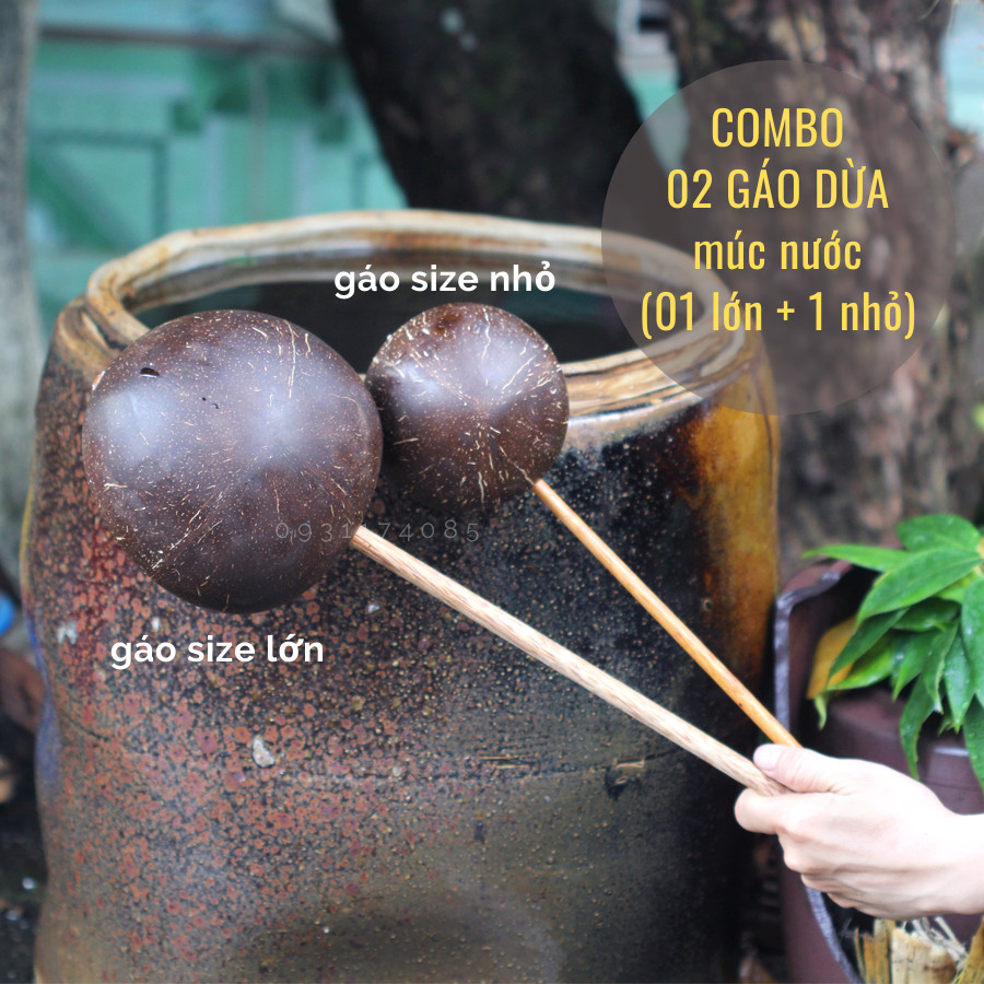 Combo gáo dừa múc nước